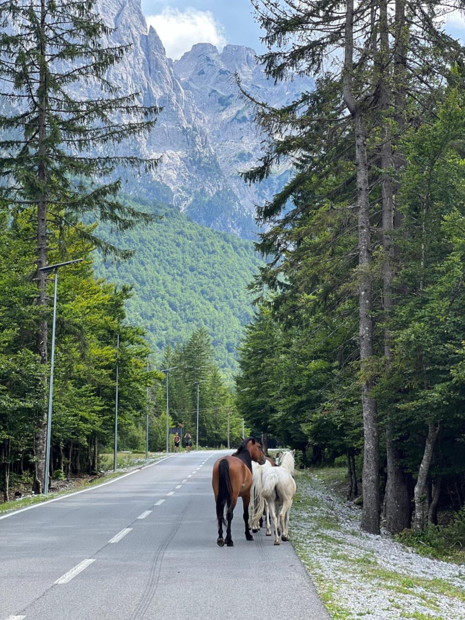 Krojet E Rrogamit Valbone Exteriér fotografie